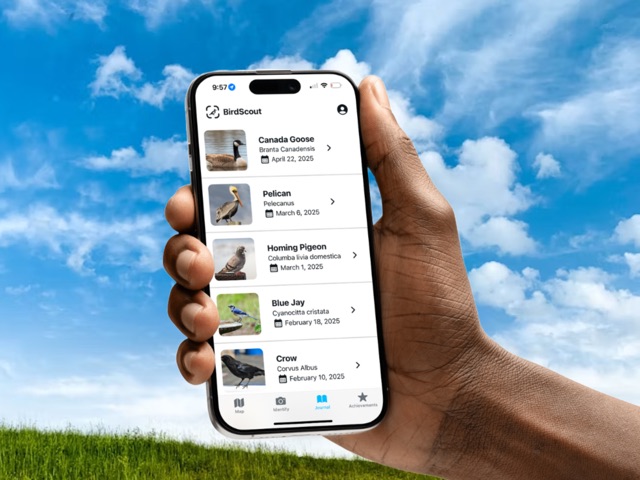 BirdScout field journal displayed on a phone against a blue sky