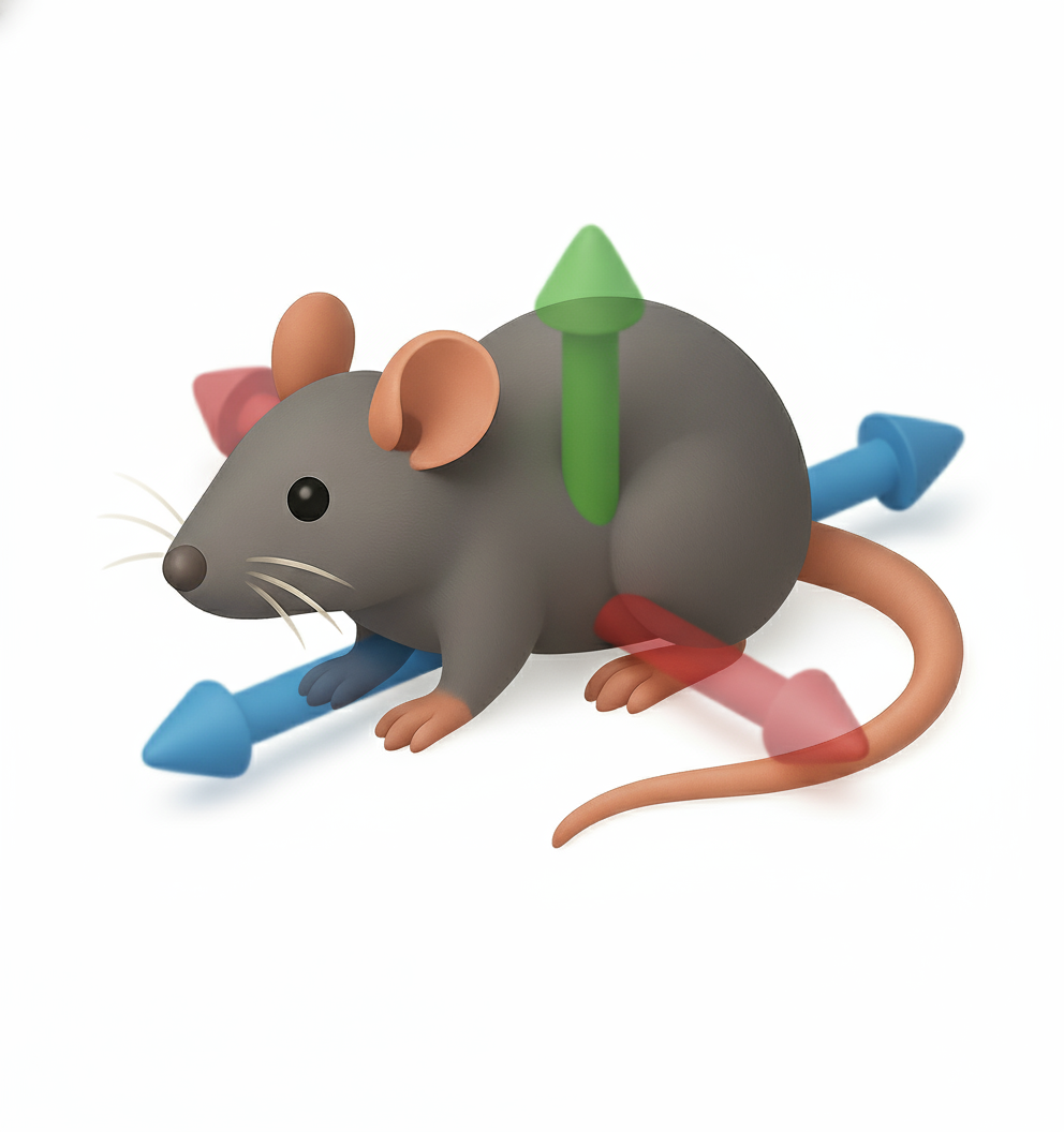 InfraRAT mouse mascot surrounded by colourful directional arrows